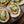 Oysters on the Half Shell
